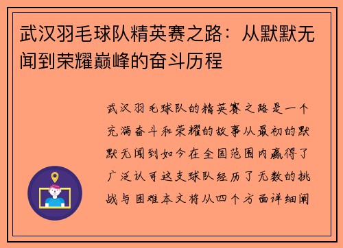 武汉羽毛球队精英赛之路：从默默无闻到荣耀巅峰的奋斗历程
