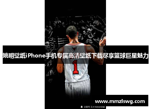 姚明壁纸iPhone手机专属高清壁纸下载尽享篮球巨星魅力