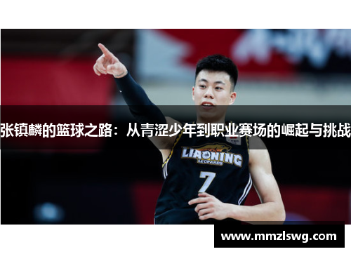 张镇麟的篮球之路：从青涩少年到职业赛场的崛起与挑战