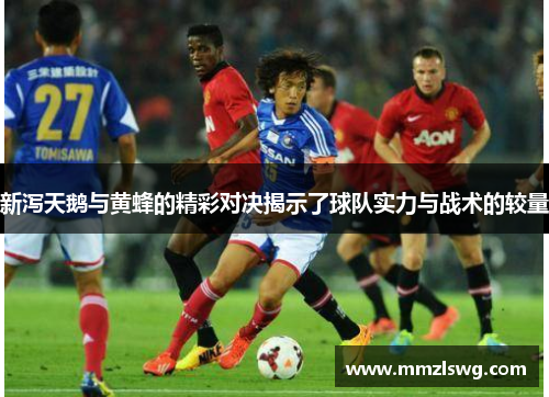 新泻天鹅与黄蜂的精彩对决揭示了球队实力与战术的较量