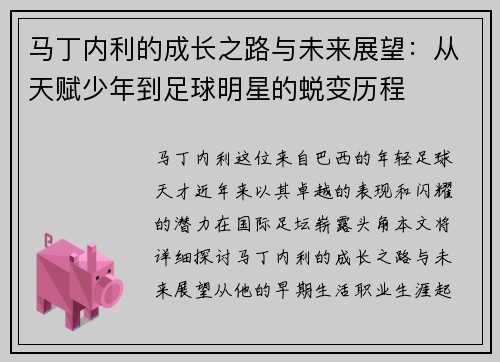 马丁内利的成长之路与未来展望：从天赋少年到足球明星的蜕变历程